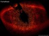 Planetas en Fomalhaut