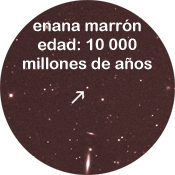 Enana marrón